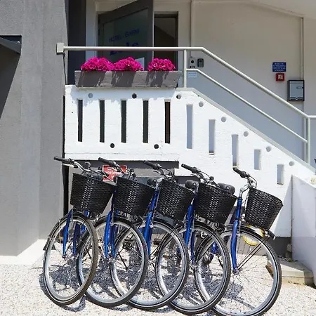 Lilium Maris Bibione